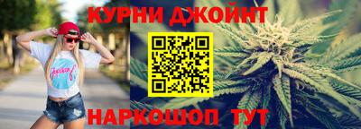прущие грибы Обнинск